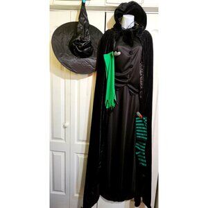 Wizard of Oz Wicked Witch Elphaba Costume Women's Reversible Cape Hat Glasses